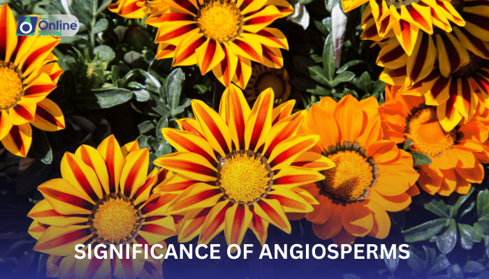 Lesson 19: Significance of Angiosperms for Humans